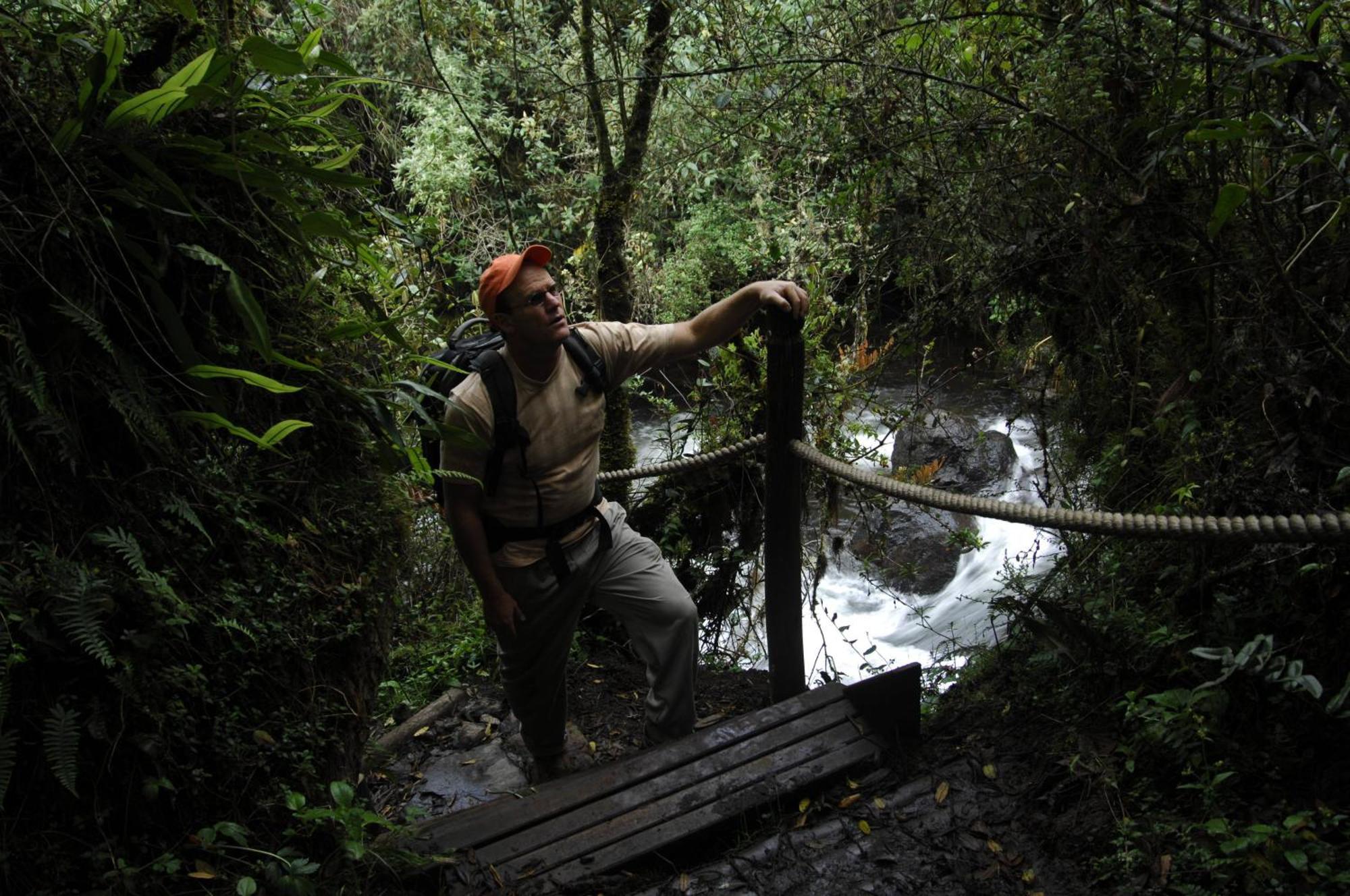 Termas De Papallacta Dış mekan fotoğraf A bridge in the rainforest