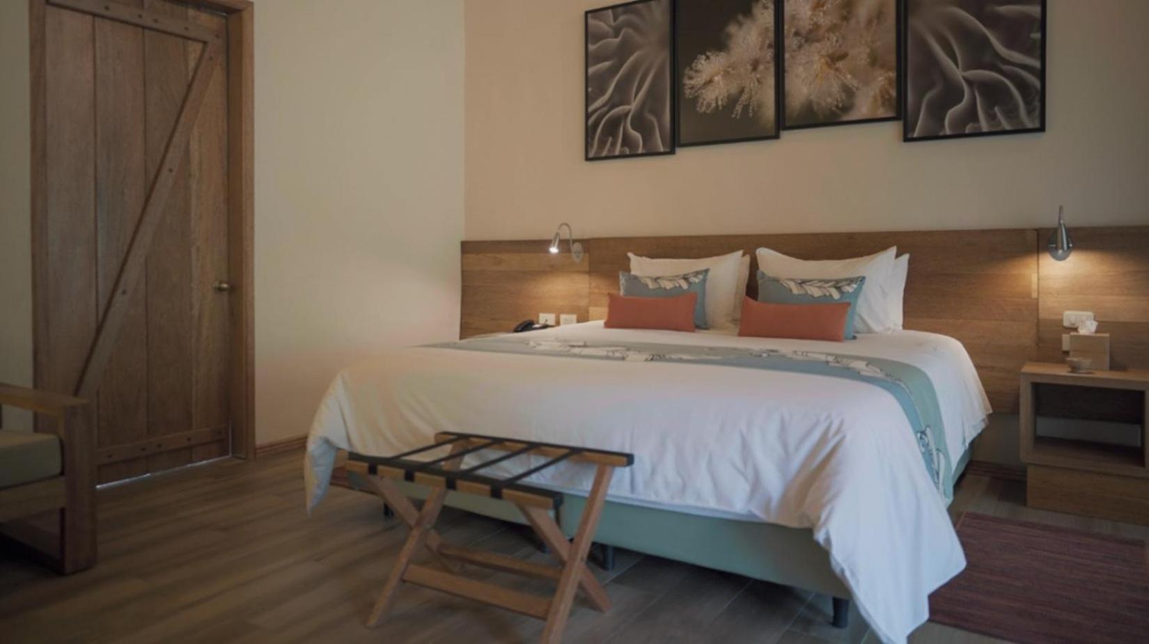 Termas De Papallacta Dış mekan fotoğraf A bedroom at the hotel